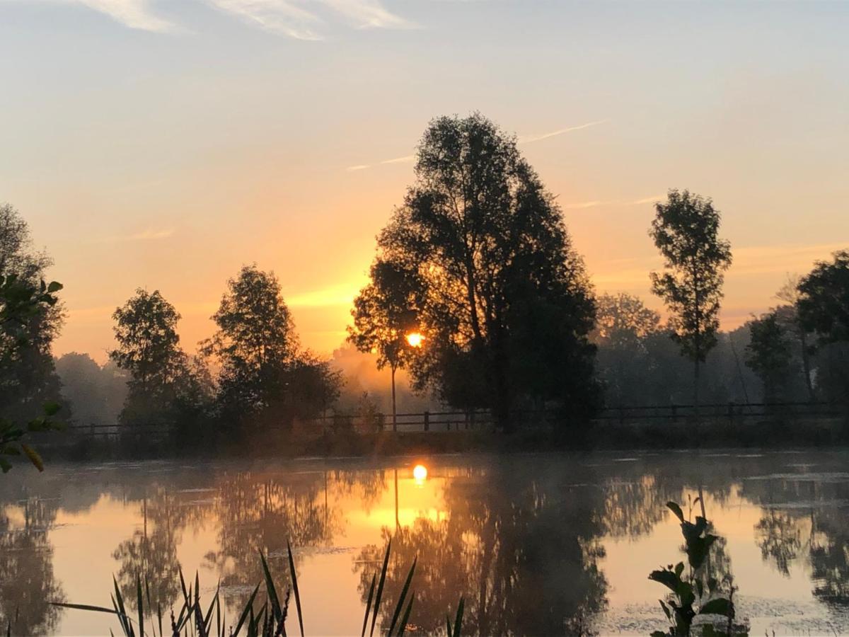 Bed and Breakfast La Francoisiere Loigné-sur-Mayenne Exteriér fotografie