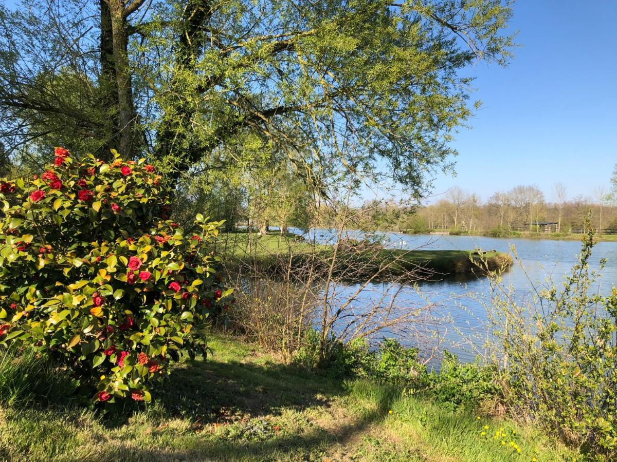 Bed and Breakfast La Francoisiere Loigné-sur-Mayenne Exteriér fotografie