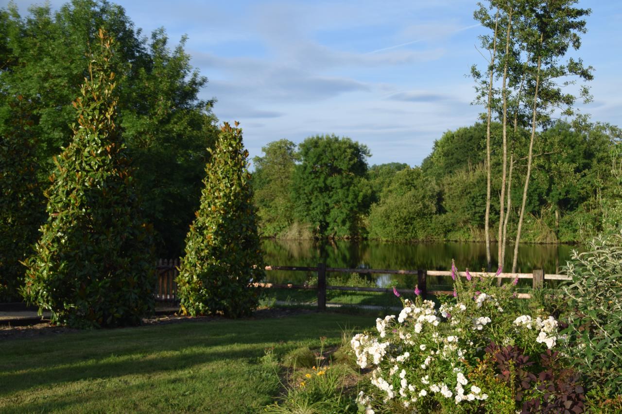 Bed and Breakfast La Francoisiere Loigné-sur-Mayenne Exteriér fotografie