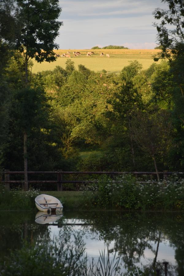 Bed and Breakfast La Francoisiere Loigné-sur-Mayenne Exteriér fotografie